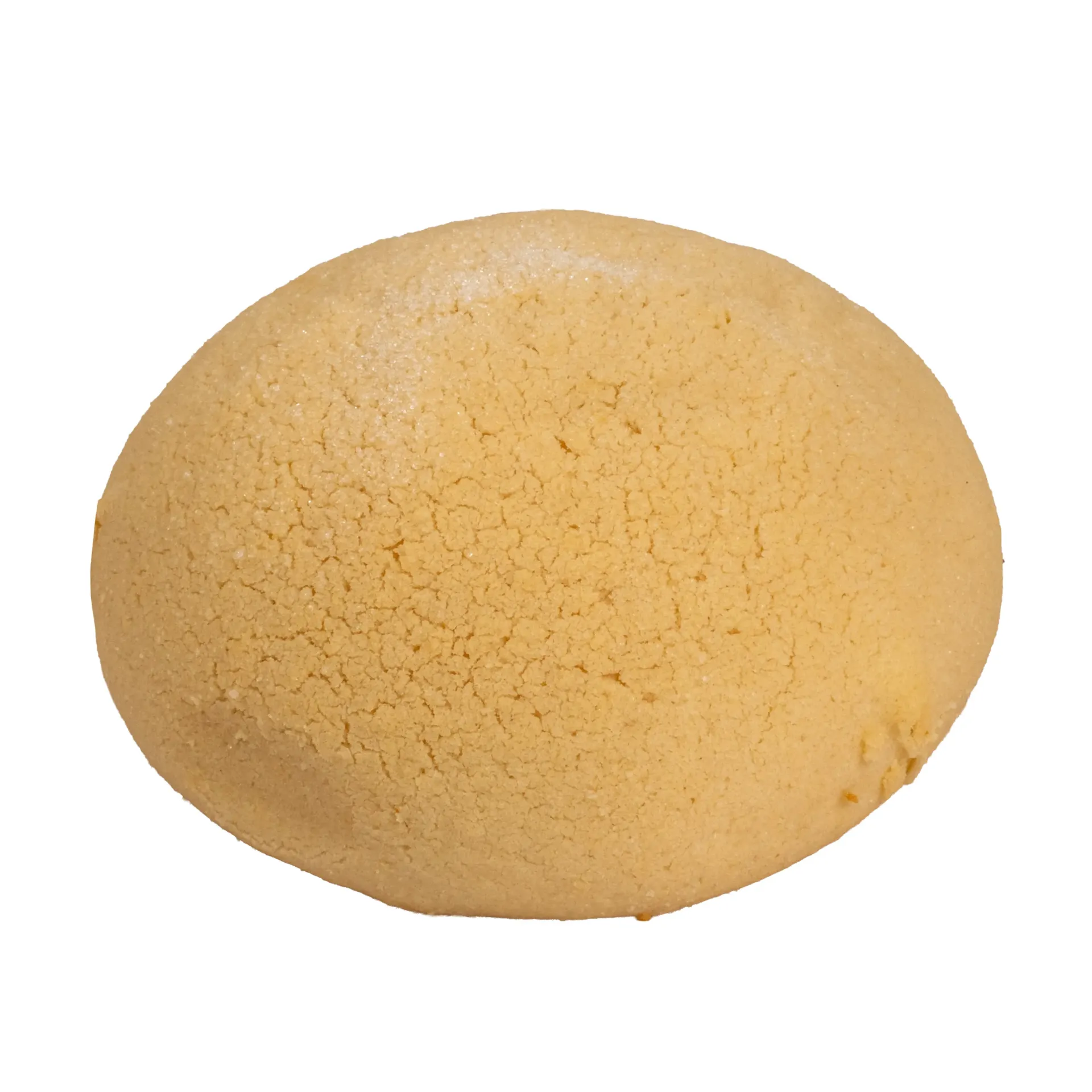 [COALN] CONCHA DE ALMENDRA
