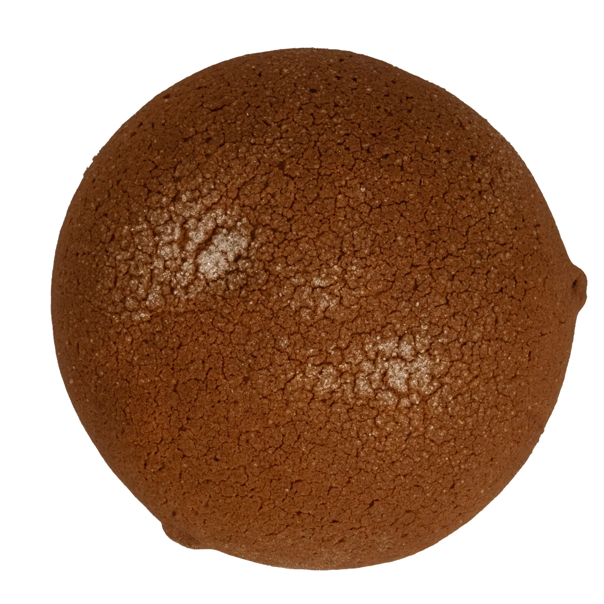 [COCHD] CONCHA DE CHOCOLATE