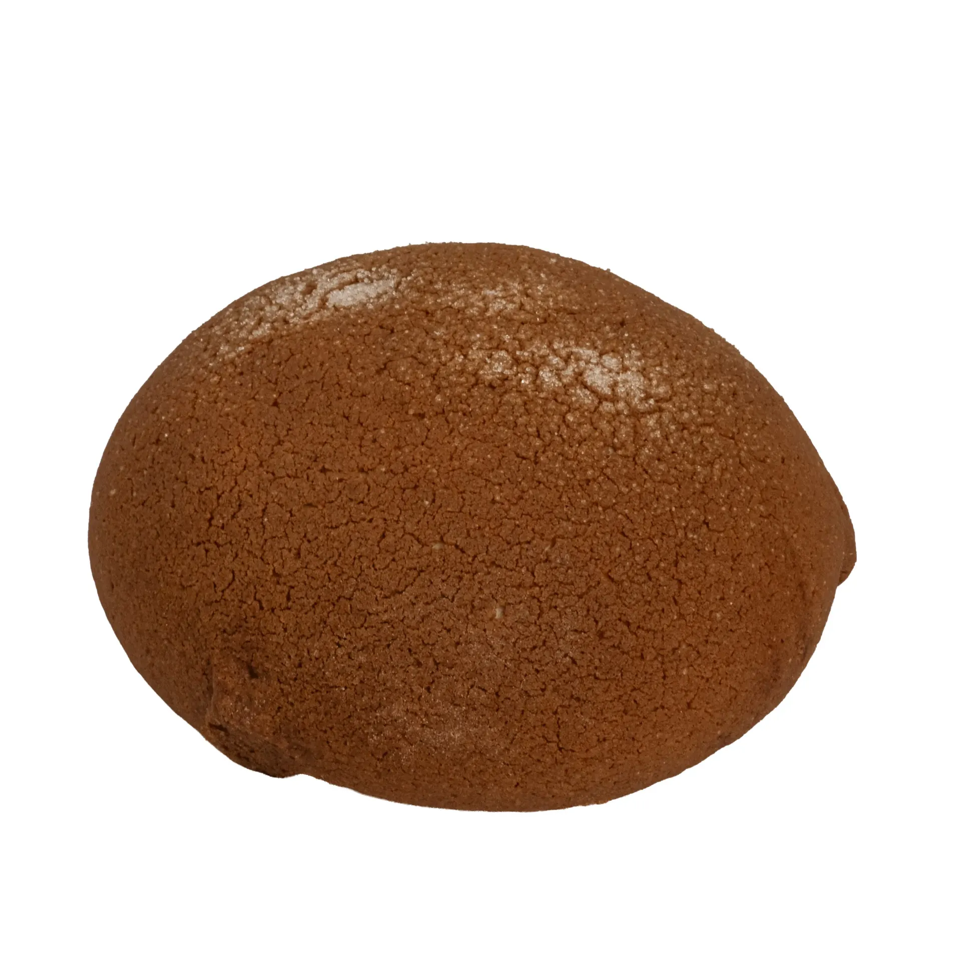 [COCHN] CONCHA DE CHOCOLATE